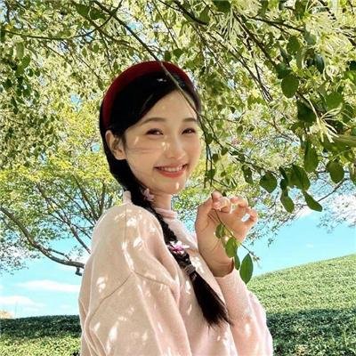蔷薇处处香